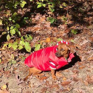 Meet your Posher, Dana